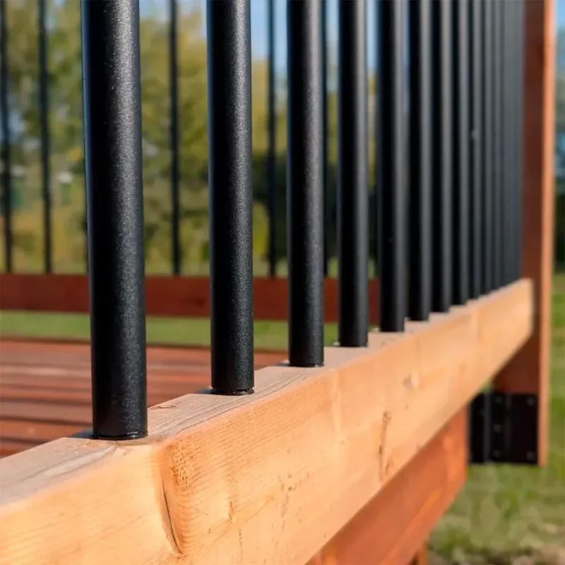 Achetez Aujourd&rsquo;hui Barrotins ronds noirs 30/bte – Pylex
