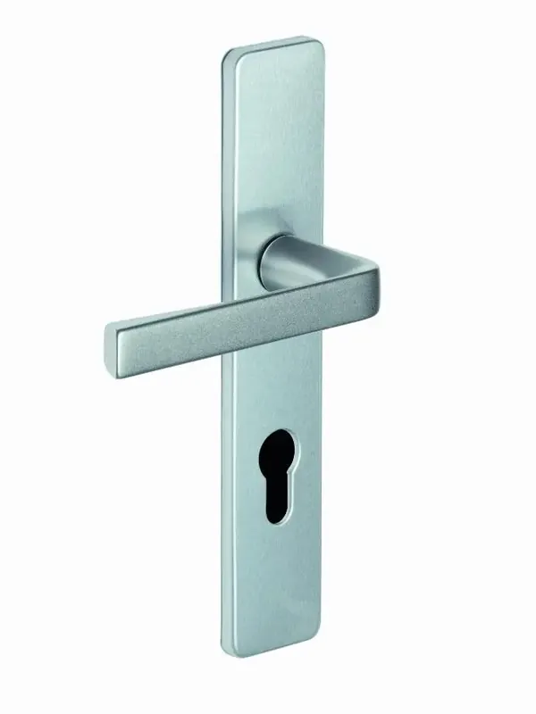 Ensemble KAZA – Plaque 220 x 42 mm – Entraxe de fixation 195 mm – Argent – 1364/6331 Cle I Usine Directe