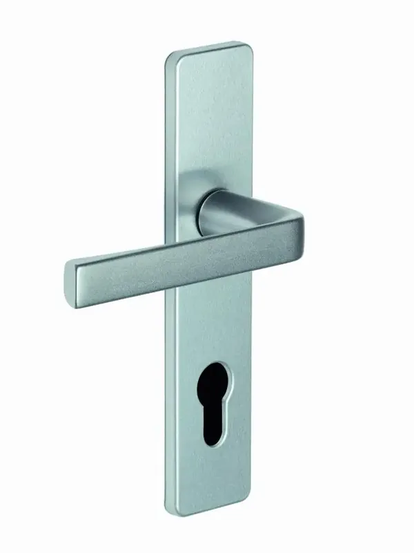 Vente Directe Ensemble KAZA – Plaque 190 x 42 mm – Entraxe de fixation 165 mm – Argent – 1364/6329 Clé I