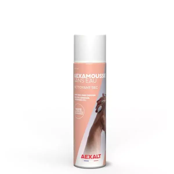 Retour Gratuit Nettoyant main sec AEXALT AEXAMOUSSE sans eau – Aerosol 210 ml – MS614