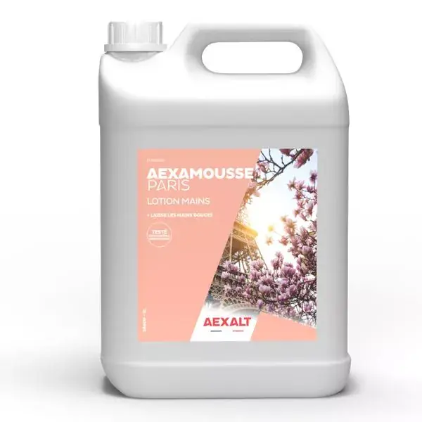 Crème nettoyante AEXALT AEXAMOUSSE PARIS – Bidon de 5 L – SA609 Réduction