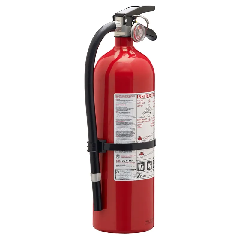 Promotion Saisonnière Extincteur de feu professionnel