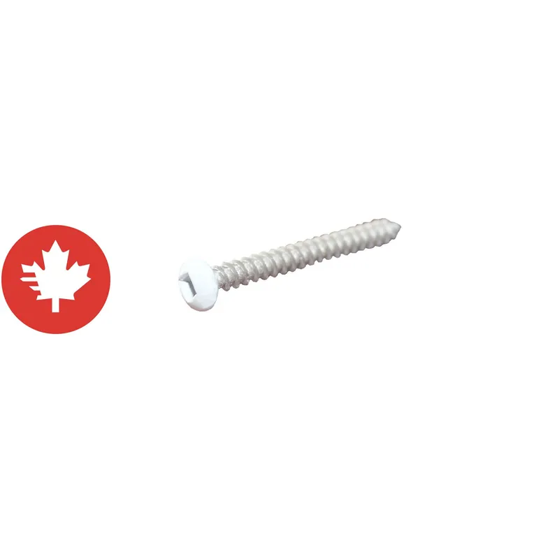 Marque Vis, acier inoxydable, 8 x 2&Prime;, blanc, 500/pqt